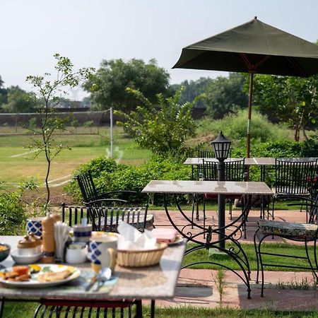 Tree Of Life Ecotainers Agra Hotel Агра Екстериор снимка
