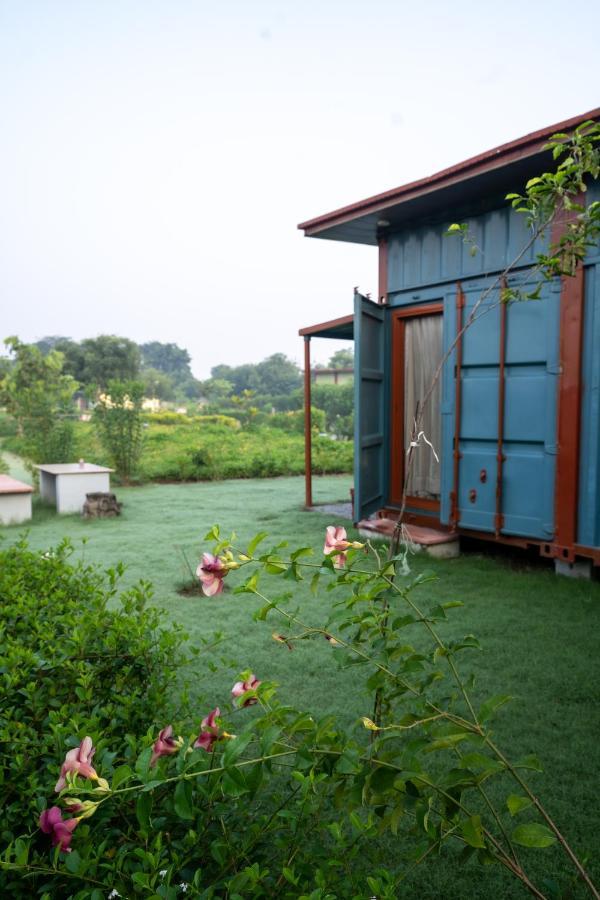 Tree Of Life Ecotainers Agra Hotel Агра Екстериор снимка
