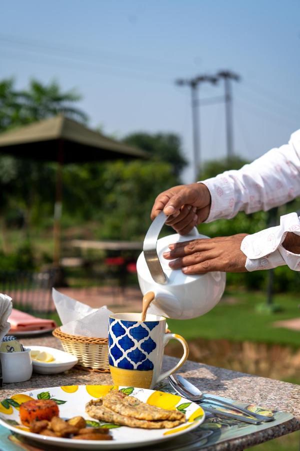 Tree Of Life Ecotainers Agra Hotel Агра Екстериор снимка
