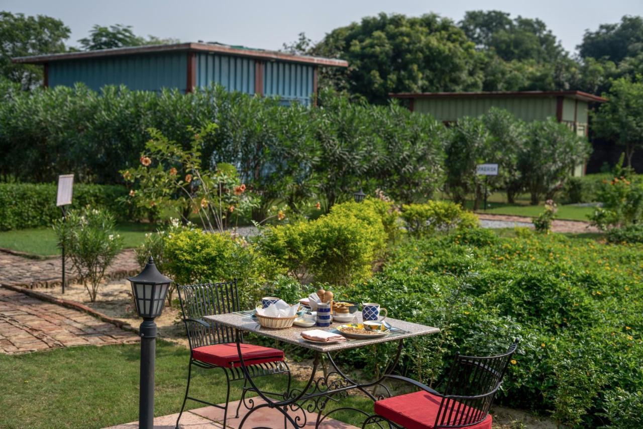 Tree Of Life Ecotainers Agra Hotel Агра Екстериор снимка