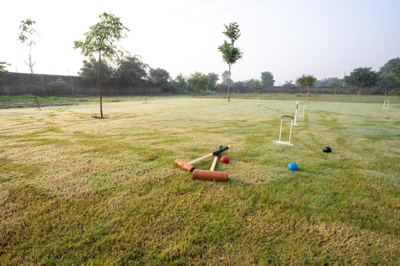 Tree Of Life Ecotainers Agra Hotel Агра Екстериор снимка