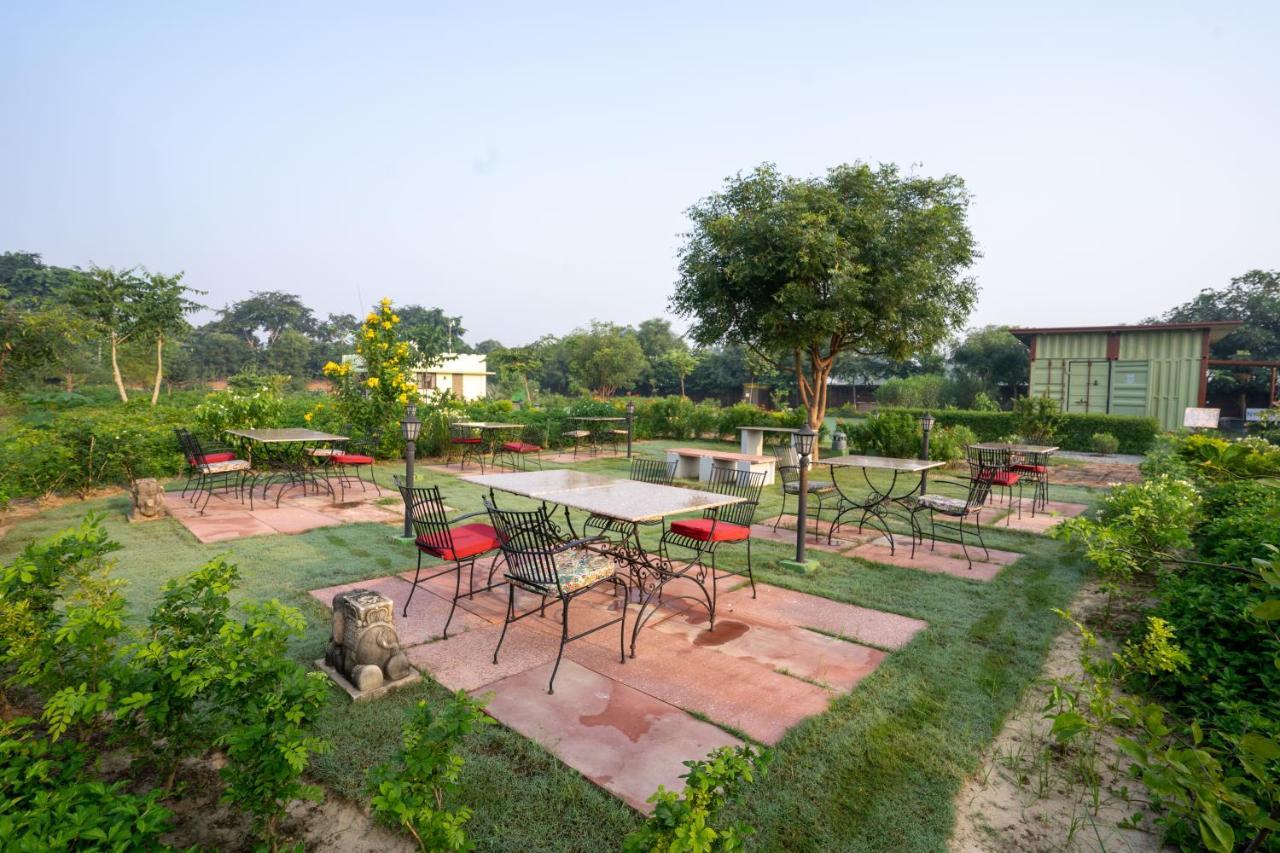 Tree Of Life Ecotainers Agra Hotel Агра Екстериор снимка