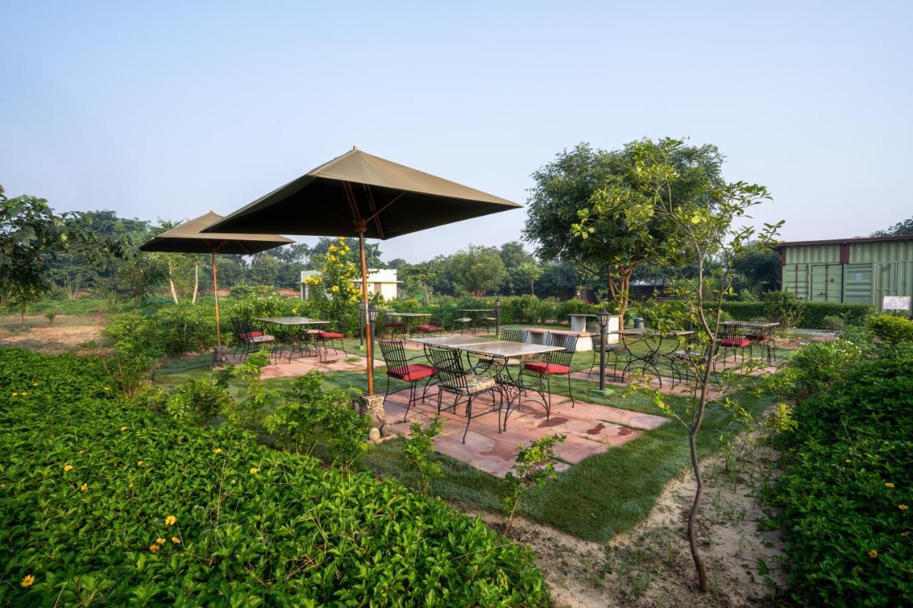 Tree Of Life Ecotainers Agra Hotel Агра Екстериор снимка