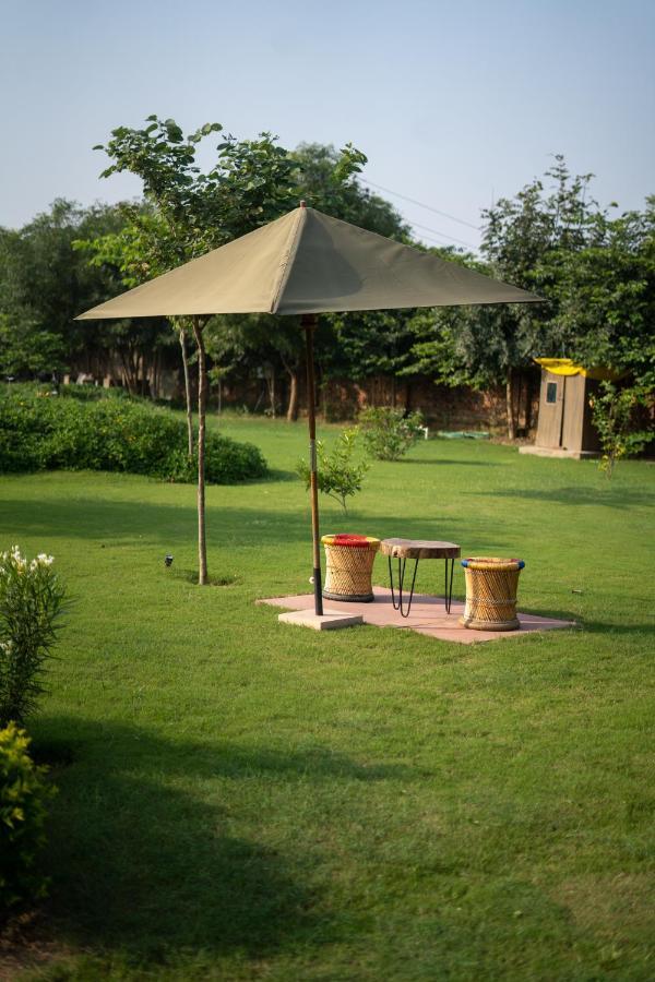 Tree Of Life Ecotainers Agra Hotel Агра Екстериор снимка